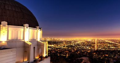 Premium Los Angeles Business Domain Names